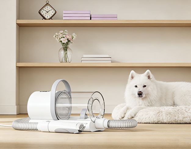 Lemmikkieläinten hoito